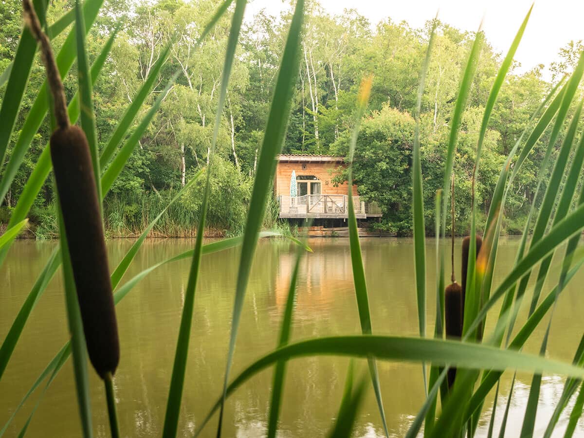 Cabane Nymphéa