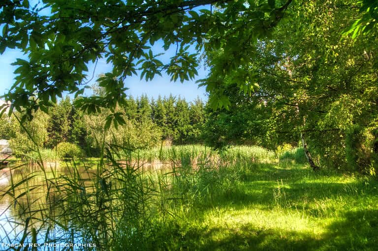 Prairie des Étangs du Bancel - Home des Bois