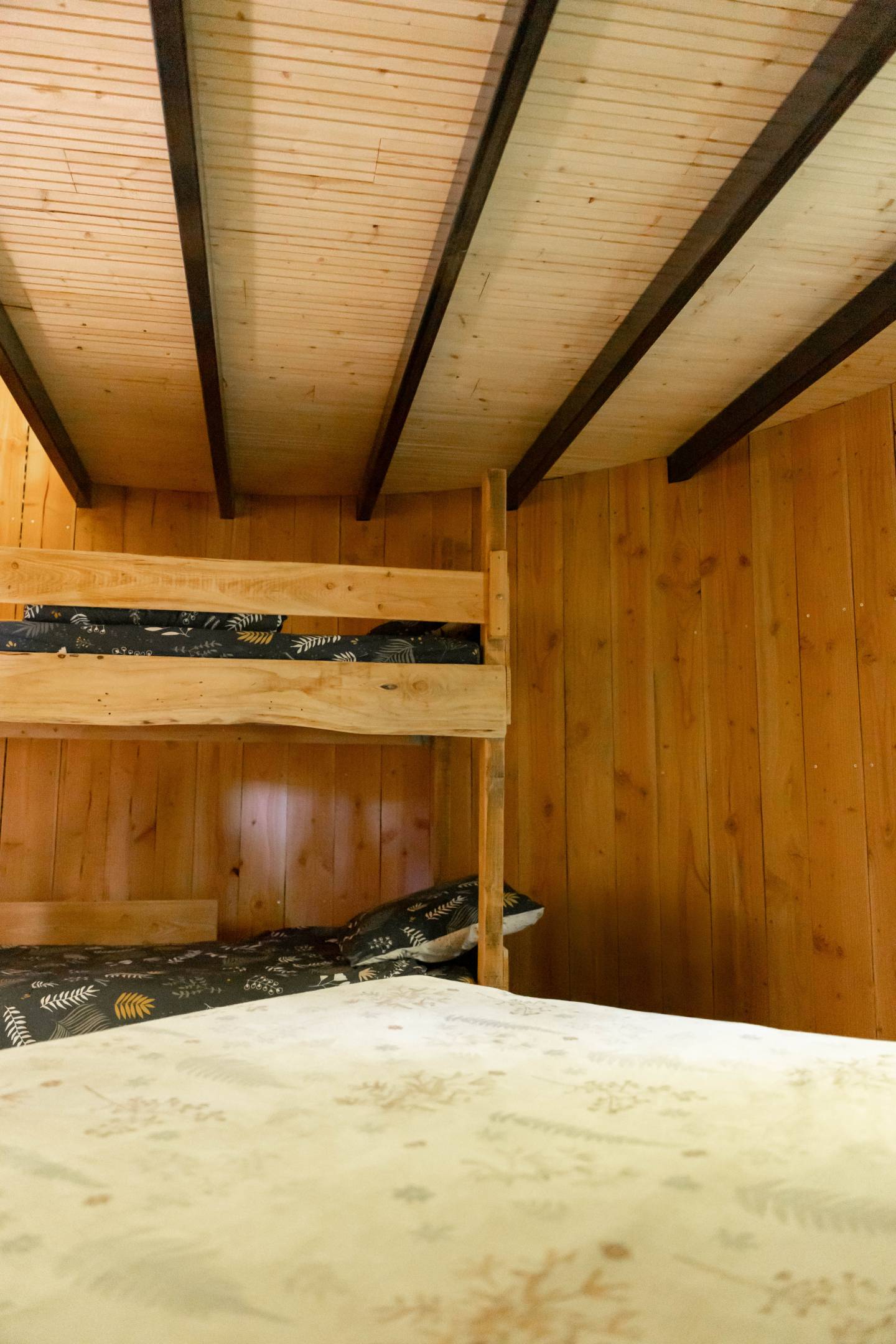 Epi-lodge Intérieur 2